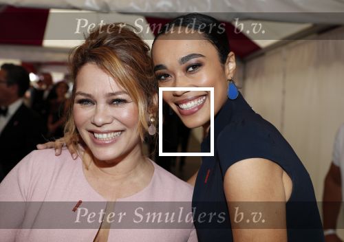 Amsterdam 16 juni 2018
Amsterdam diner in afas live (HMH). Antje en Romy Monteiro
