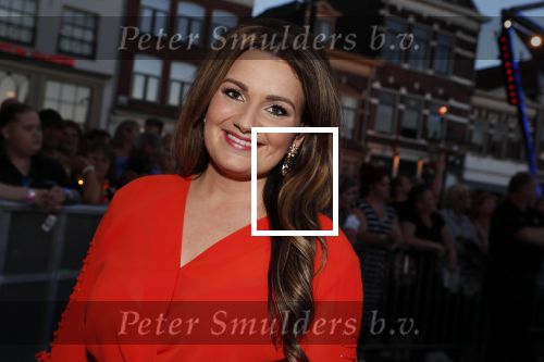 Amersfoort 20 juni 2018
Muziekfeest op het plein in Amersfoort. AVRO/TROS zenden het uit. Sieneke