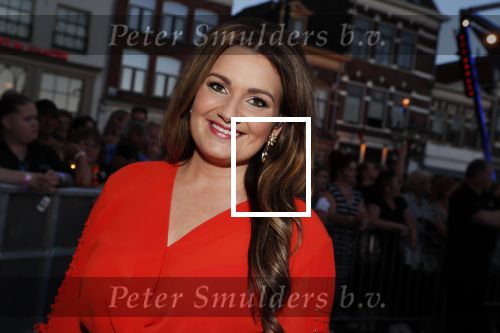 Amersfoort 20 juni 2018
Muziekfeest op het plein in Amersfoort. AVRO/TROS zenden het uit. Sieneke