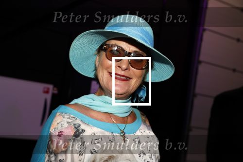 Rotterdam 18 juni 2018
Society lunch op vliegveld Rotterdam. Vivian Boelen