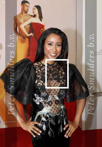 Amsterdam 29 juni 2019
Premiere young patrons circle in de stopera. Taeke Taekema en partner Airen Mylene