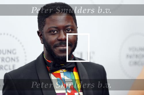 Amsterdam 29 juni 2019
Premiere young patrons circle in de stopera. Andre Dongelmans
