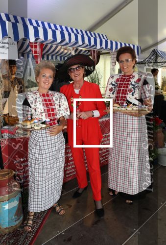 Haarzuilen, 19 Juni 2019
Haringparty Kasteel Haarzuilen
Anne-Marie v Helden