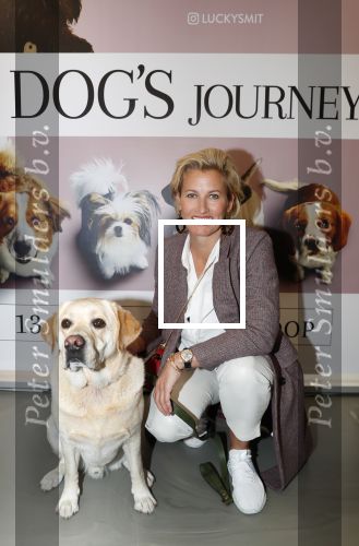 Amsterdam 12 juni 2019
Premiere a dogs Journey by Lucky Smit.
Bas Smit Anouk Smulders en Rosanna Kluivert zijn aanwezig met hun honden.