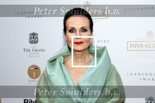 Amsterdam 18 juni 2019
Leading ladies awards bij hotel the Grand. Ans Markus
