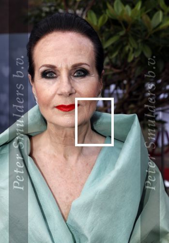 Amsterdam 18 juni 2019
Leading ladies awards bij hotel the Grand. Ans Markus