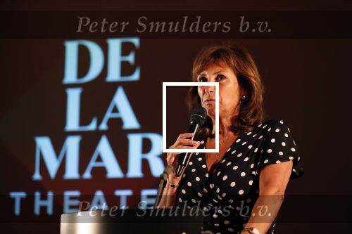Amsterdam 1 juli 2019
Uitreiking van de Johan Kaart Prijs aan Pierre Bokma in het deLamar theater.
Astrid Joosten