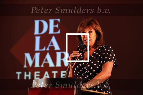 Amsterdam 1 juli 2019
Uitreiking van de Johan Kaart Prijs aan Pierre Bokma in het deLamar theater.
Astrid Joosten