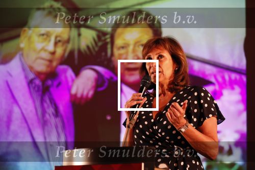 Amsterdam 1 juli 2019
Uitreiking van de Johan Kaart Prijs aan Pierre Bokma in het deLamar theater.
Astrid Joosten