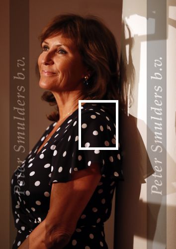 Amsterdam 1 juli 2019
Uitreiking van de Johan Kaart Prijs aan Pierre Bokma in het deLamar theater.
Astrid Joosten