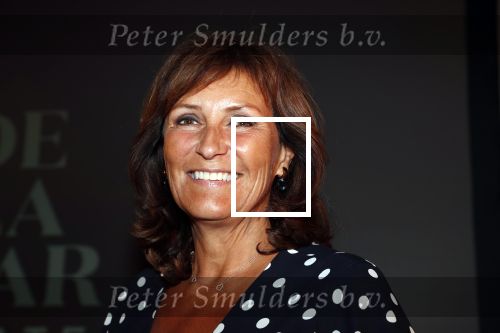Amsterdam 1 juli 2019
Uitreiking van de Johan Kaart Prijs aan Pierre Bokma in het deLamar theater.
Astrid Joosten