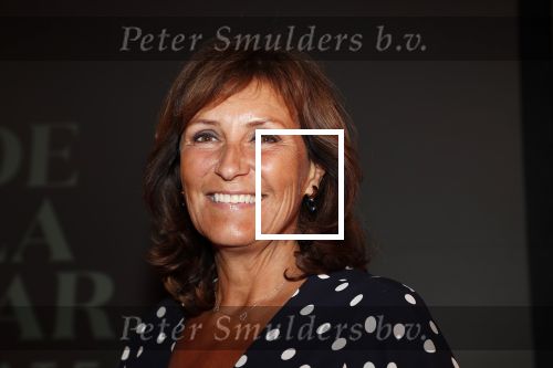 Amsterdam 1 juli 2019
Uitreiking van de Johan Kaart Prijs aan Pierre Bokma in het deLamar theater.
Astrid Joosten
