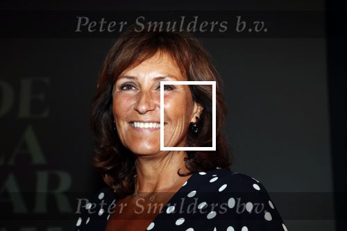 Amsterdam 1 juli 2019
Uitreiking van de Johan Kaart Prijs aan Pierre Bokma in het deLamar theater.
Astrid Joosten