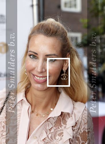 Amsterdam 18 juni 2019
Leading ladies awards bij hotel the Grand. Carolien Terlinden