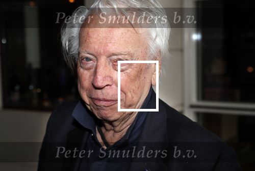 Amsterdam 12 juni 2019
Haringparty bij het Hilton hotel. David Bijlsma met Cees dam