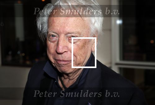 Amsterdam 12 juni 2019
Haringparty bij het Hilton hotel. David Bijlsma met Cees dam