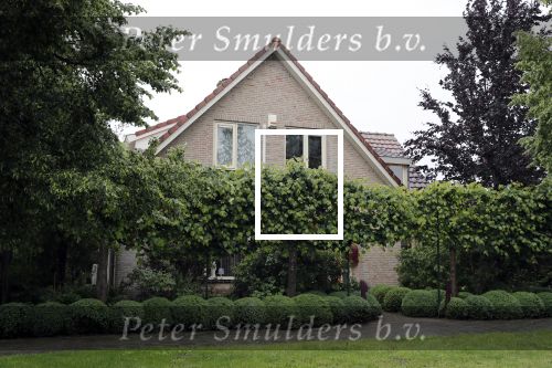 Diemen 15 juni 2019
Huis Danny Blind