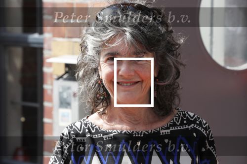 Amsterdam 20 juni 2019
Uitreiking Nipkow schijf aan Jeroen Pauw. Dieuwertje Blok met partner Peter de Bie
