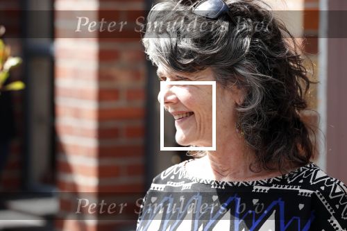Amsterdam 20 juni 2019
Uitreiking Nipkow schijf aan Jeroen Pauw. Dieuwertje Blok met partner Peter de Bie