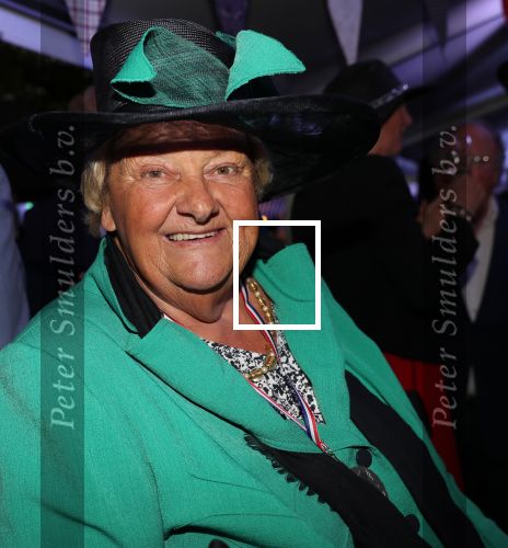 Haarzuilen, 19 Juni 2019
Haringparty Kasteel Haarzuilen
Erica Terpstra