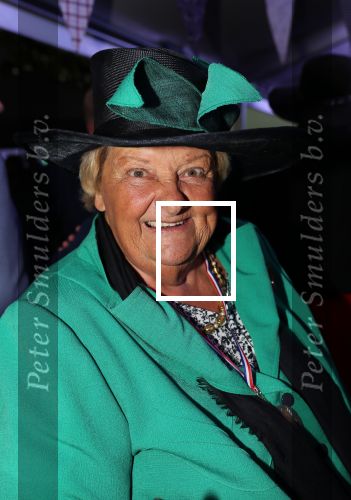 Haarzuilen, 19 Juni 2019
Haringparty Kasteel Haarzuilen
Erica Terpstra