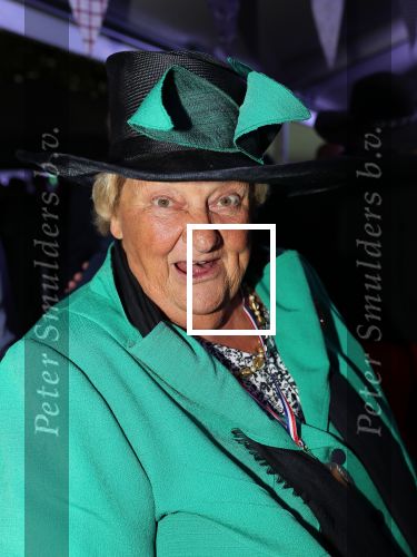 Haarzuilen, 19 Juni 2019
Haringparty Kasteel Haarzuilen
Erica Terpstra