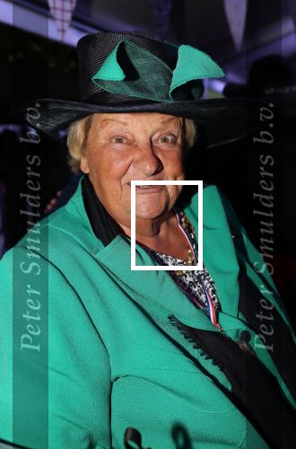 Haarzuilen, 19 Juni 2019
Haringparty Kasteel Haarzuilen
Erica Terpstra