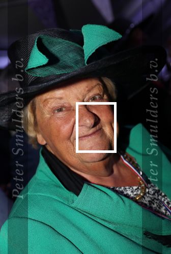 Haarzuilen, 19 Juni 2019
Haringparty Kasteel Haarzuilen
Erica Terpstra