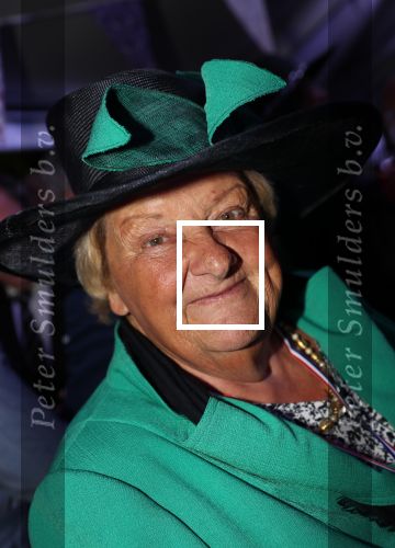 Haarzuilen, 19 Juni 2019
Haringparty Kasteel Haarzuilen
Erica Terpstra
