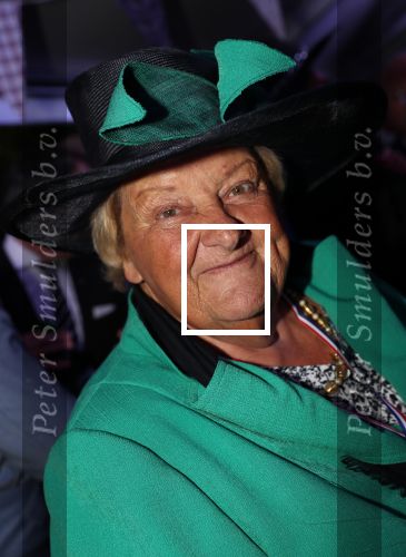 Haarzuilen, 19 Juni 2019
Haringparty Kasteel Haarzuilen
Erica Terpstra