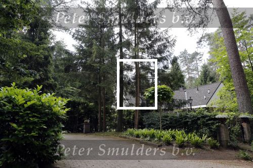 Eerbeek 21 juni 2019
Fleur Louwe  de vermeende vriendin van Humberto Tan woont nog thuis bij haar ouders. Huis ouders .