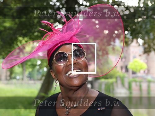 Haarzuilen, 19 Juni 2019
Haringparty Kasteel Haarzuilen
Gerda Havertong