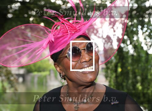 Haarzuilen, 19 Juni 2019
Haringparty Kasteel Haarzuilen
Gerda Havertong