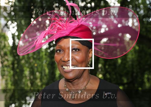 Haarzuilen, 19 Juni 2019
Haringparty Kasteel Haarzuilen
Gerda Havertong