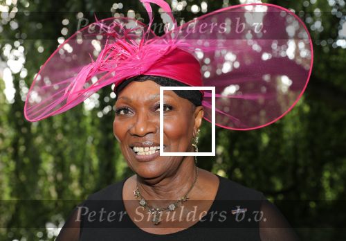 Haarzuilen, 19 Juni 2019
Haringparty Kasteel Haarzuilen
Gerda Havertong