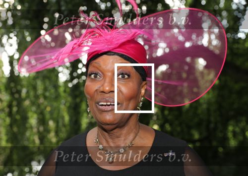 Haarzuilen, 19 Juni 2019
Haringparty Kasteel Haarzuilen
Gerda Havertong