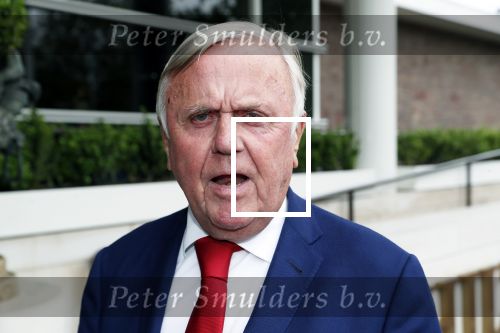 Amsterdam 12 juni 2019
Haringparty bij het Hilton hotel. Harry Mens