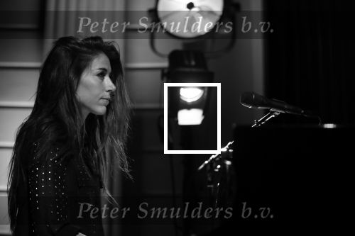Amsterdam 29 mei 2019
Iris Hond in het concertgebouw.