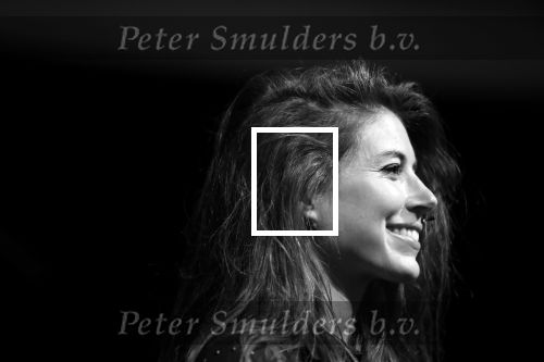 Amsterdam 29 mei 2019
Iris Hond in het concertgebouw.