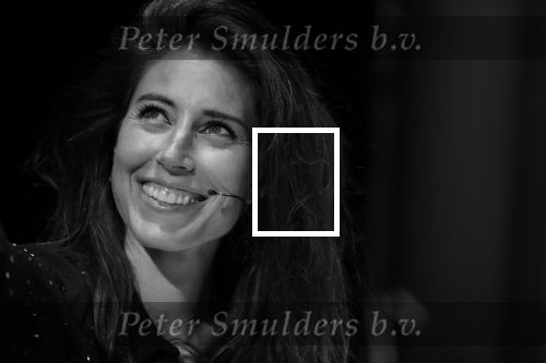 Amsterdam 29 mei 2019
Iris Hond in het concertgebouw.