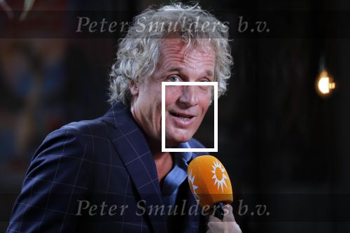 Amsterdam 20 juni 2019
Uitreiking Nipkow schijf aan Jeroen Pauw. Jeroen kwam met zijn vriendin Zoe