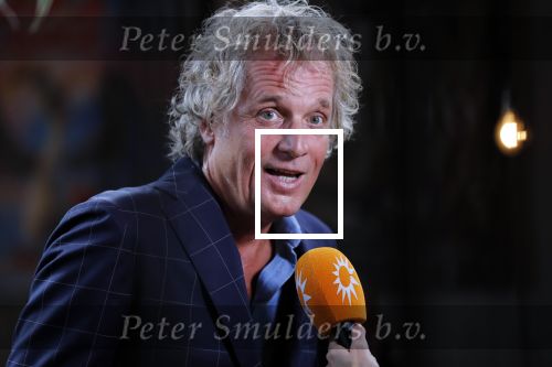 Amsterdam 20 juni 2019
Uitreiking Nipkow schijf aan Jeroen Pauw. Jeroen kwam met zijn vriendin Zoe