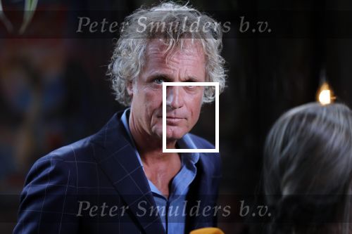 Amsterdam 20 juni 2019
Uitreiking Nipkow schijf aan Jeroen Pauw. Jeroen kwam met zijn vriendin Zoe