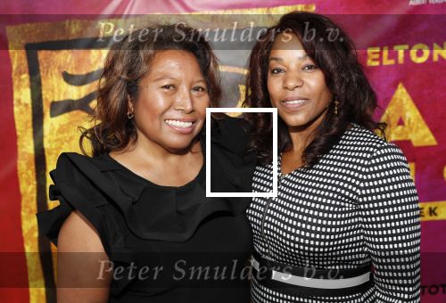 Rosmalen 20 juni 2019
Premiere Aida in het autotron . Justine Pelmelay