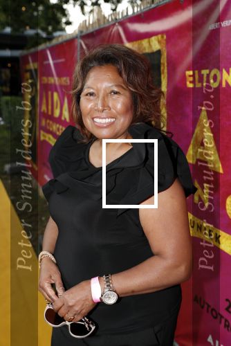 Rosmalen 20 juni 2019
Premiere Aida in het autotron . Justine Pelmelay