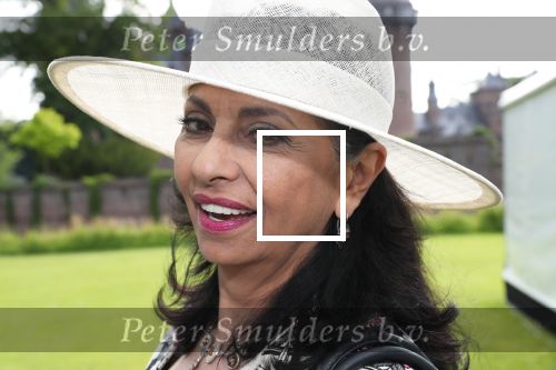 Haarzuilen, 19 Juni 2019
Haringparty Kasteel Haarzuilen
Laura Fygi