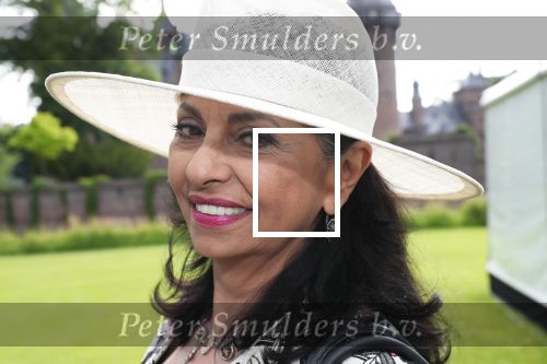 Haarzuilen, 19 Juni 2019
Haringparty Kasteel Haarzuilen
Laura Fygi