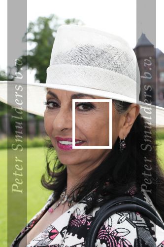Haarzuilen, 19 Juni 2019
Haringparty Kasteel Haarzuilen
Laura Fygi