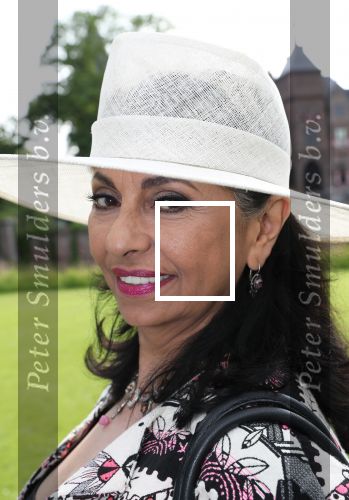 Haarzuilen, 19 Juni 2019
Haringparty Kasteel Haarzuilen
Laura Fygi