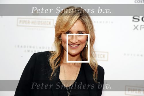 Amsterdam 18 juni 2019
Leading ladies awards bij hotel the Grand. Lieke v Lexmond